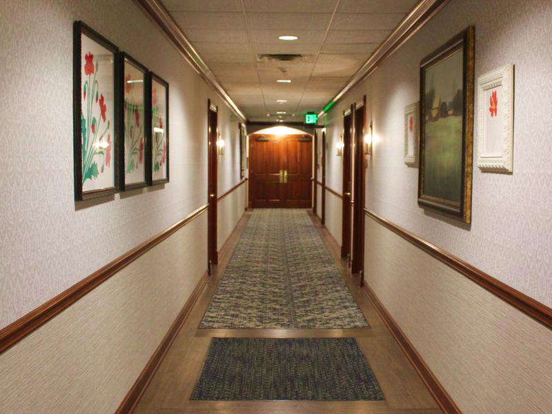 Hallway carpet after professional cleaning